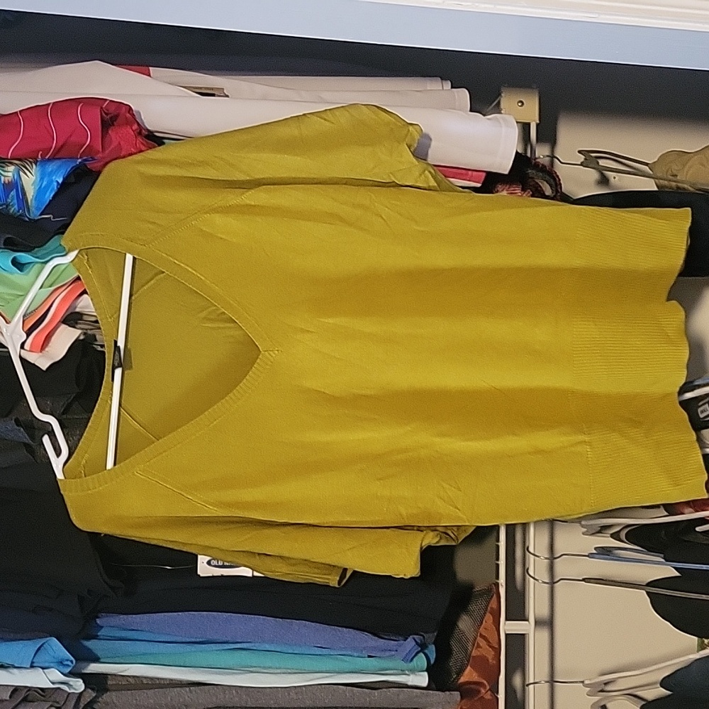 Lane Bryant sweater (size 22-24)